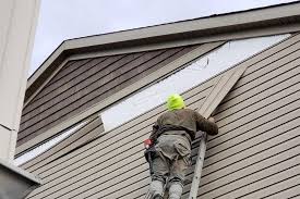 Best Siding Painting and Refinishing  in Porter, IN